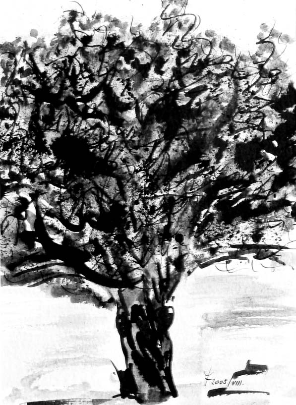 94 Baum auf der Mettnau I., Wiedergeburt
