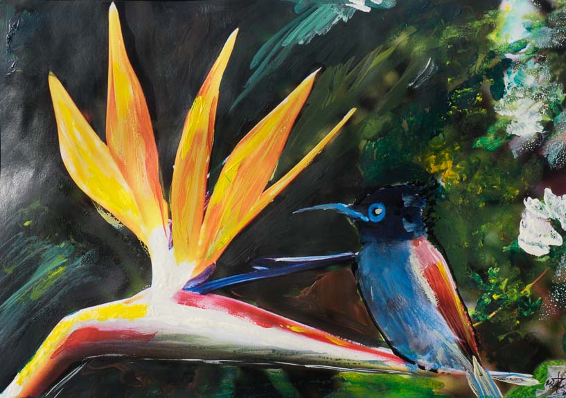 435 Paradiesvogel II.